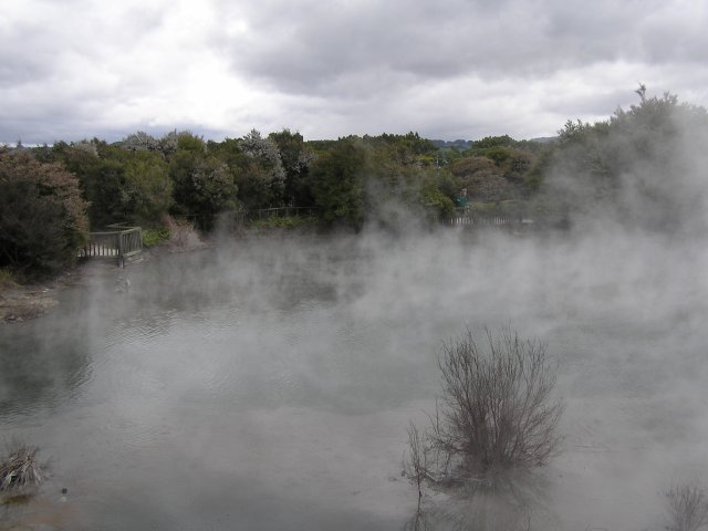 SteamyLake