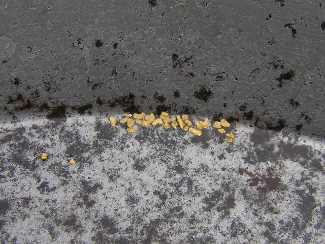 GoldFlakes