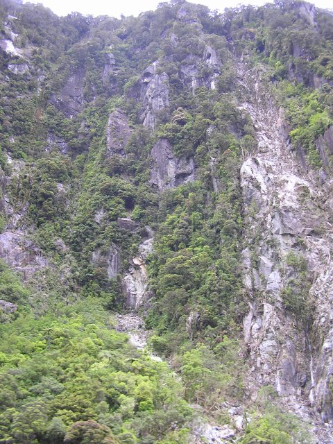 Trees