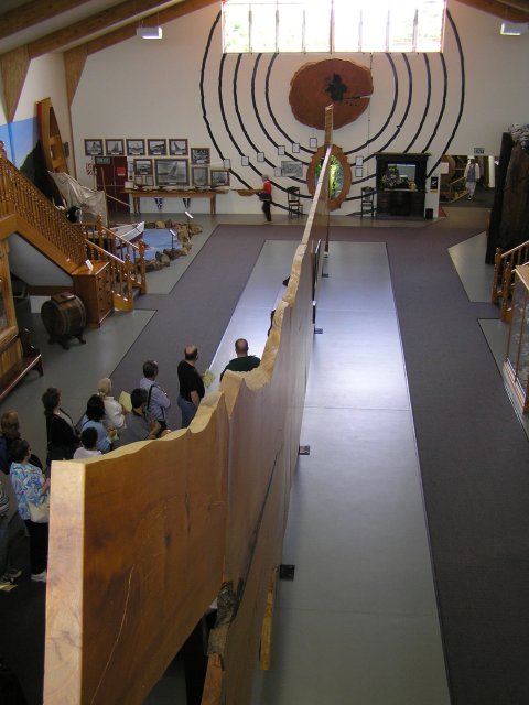 Kauri Slice