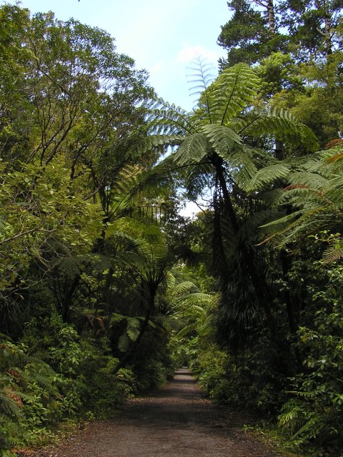 Path To Four Sisters