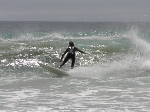 Tapotupotu Bay Surfer