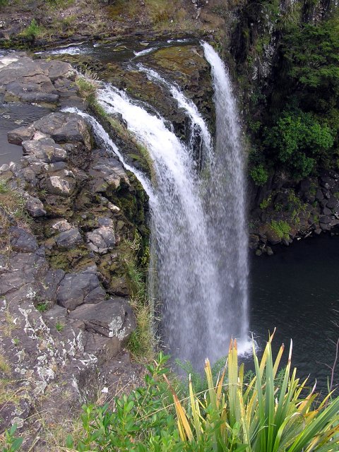 Whangarei Falls