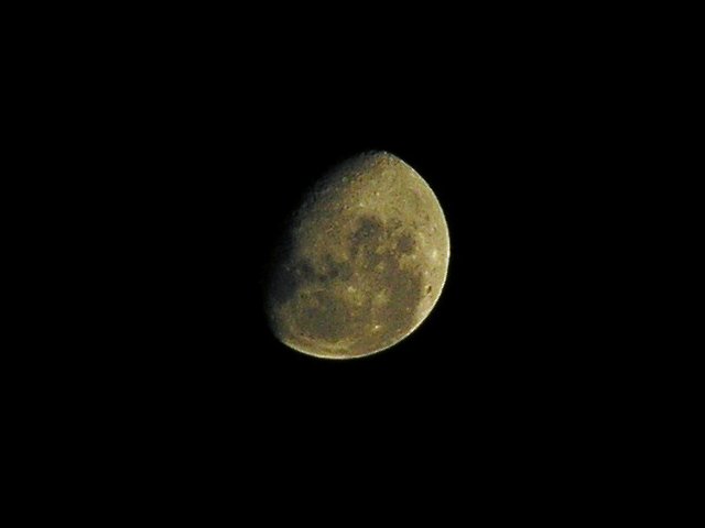 Midnight Moon