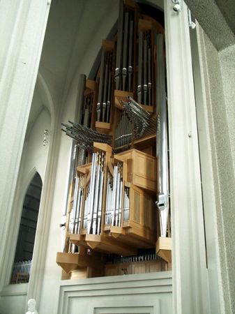 Organ