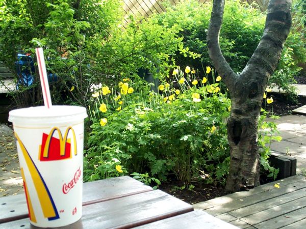 McD 2