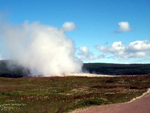 Geysir erupting