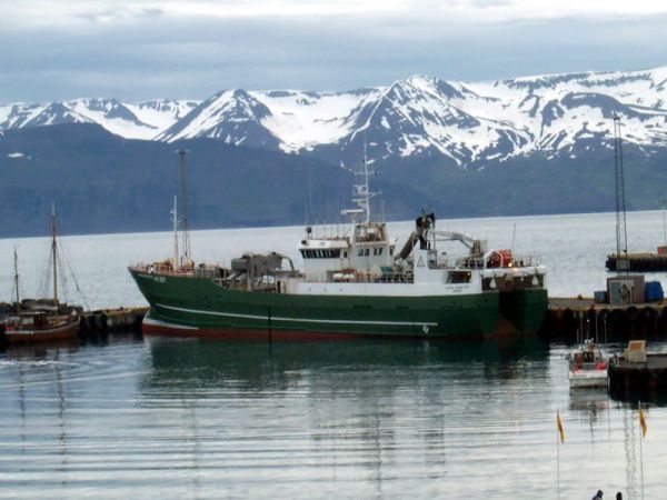 Húsavík 1