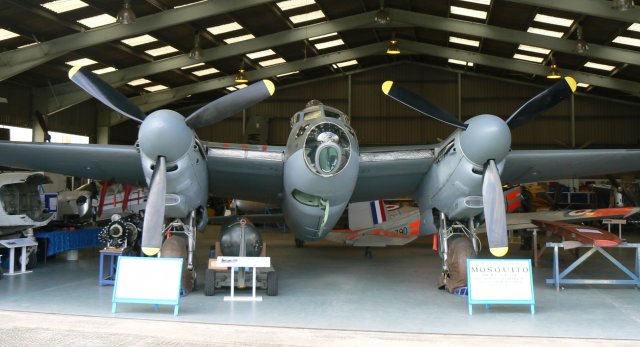 Mosquito